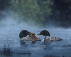 The Loon Family